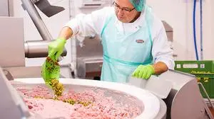 Fleischersatzproduktion bei Tann
