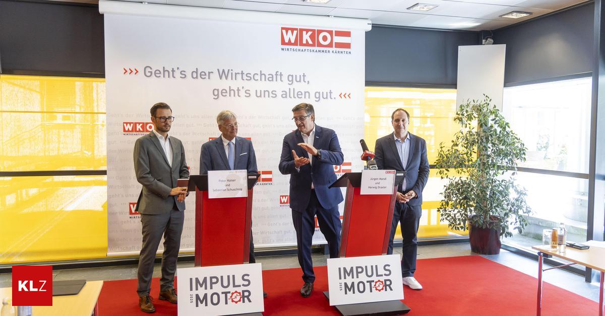 Kärntner Unternehmer fordern öffentliche Investitionen und ein Ende des „Einspruchs-Tourismus“