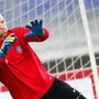 Robert Almer kehrt zum ÖFB zurück - in neuer Funktion allerdings