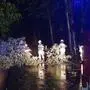 Die Freiwillige Feuerwehr Eggersdorf bei Graz entfernte kurz vor Mitternacht einen umgestürzten Baum von der Straße  