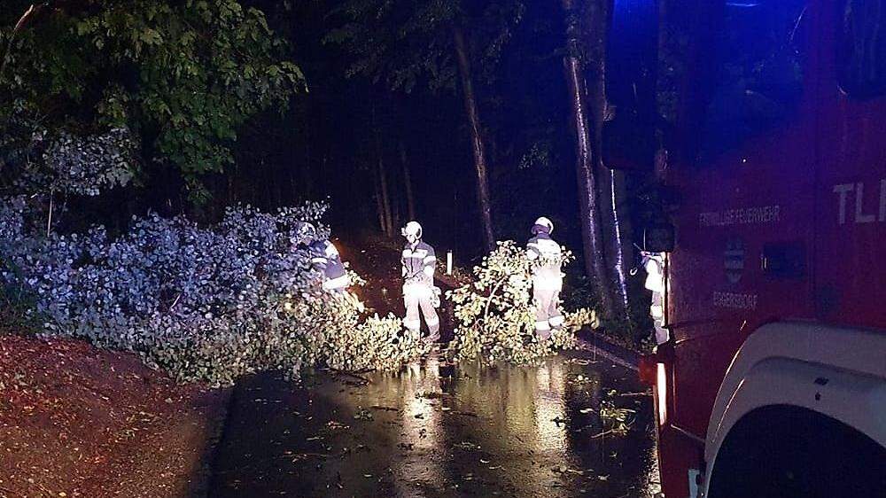 Die Freiwillige Feuerwehr Eggersdorf bei Graz entfernte kurz vor Mitternacht einen umgestürzten Baum von der Straße  