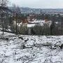 Kahlschlag und Zaun sorgen für Ärger in Eggenberg.