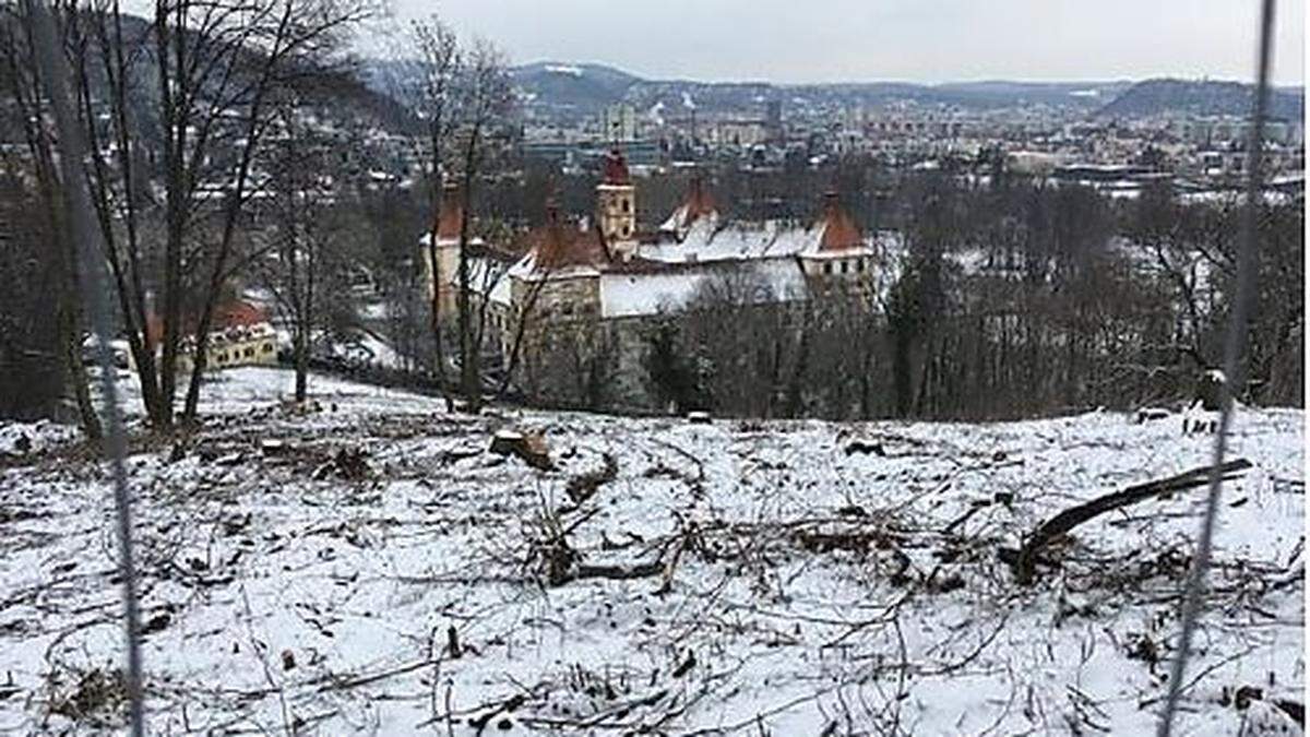 Kahlschlag und Zaun sorgen für Ärger in Eggenberg.