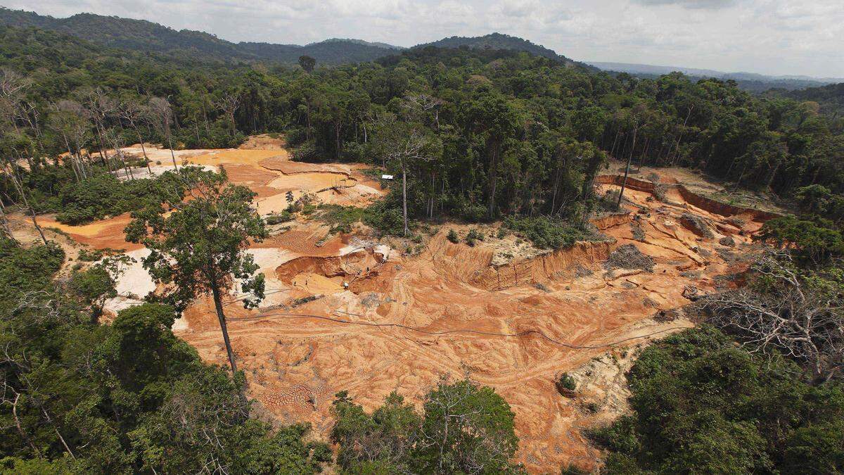 Rodungen im brasilianischen Regenwalt