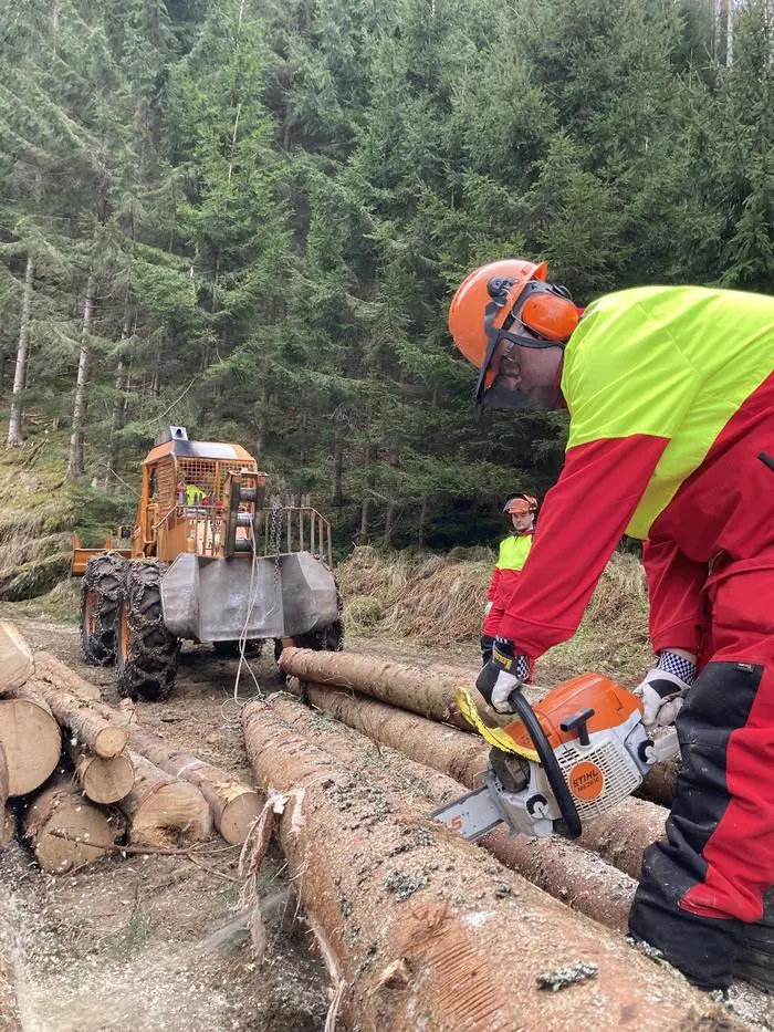 Gelernt wird unter anderem Holzbringung