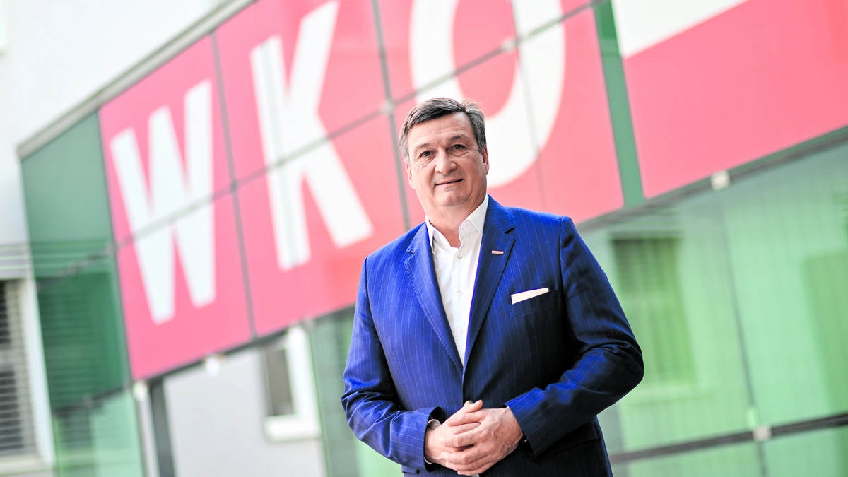 Wirtschaftskammerpräsident Jürgen Mandl