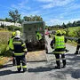 Die Feuerwehrleute konnten das eingeklemmte Pferd befreien