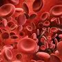 3d rendering red blood cells in vein