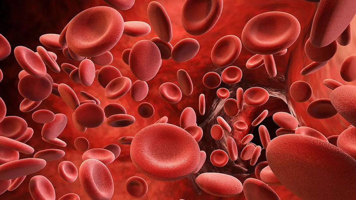 3d rendering red blood cells in vein