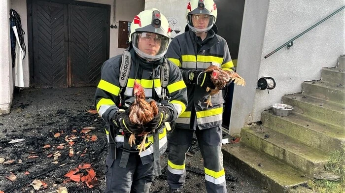 Rund 60 Feuerwehrleute waren am Freitag, dem 3. Februar 2023, beim Brand eines Stalles in St. Martin am Wöllmißberg im Einsatz. Unter anderem konnten Schweine und Hühner gerettet werden.