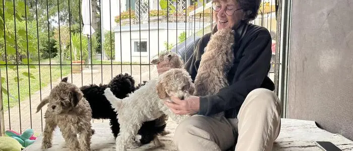 Roswitha Szabo mit ihren sechs Lagotto-Welpen im Hundegehege