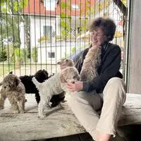 Roswitha Szabo mit ihren sechs Lagotto-Welpen im Hundegehege