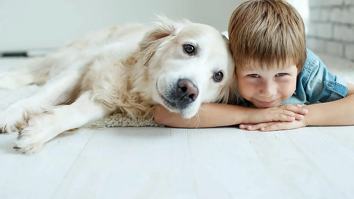 Tiere helfen die Lebensqualität zu verbessern