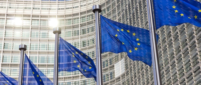 In Österreich kann man am 9. Juni seine Stimme für das EU-Parlament abgeben