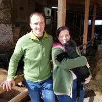 Helmut und Marieke Wernig halten vorwiegend Tiroler Bergschafe, Juraschafe und Merino Landschafe
