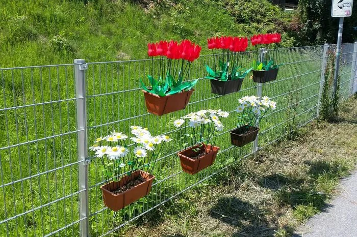 Blumen blühen an den ungewöhnlichsten Orten... 