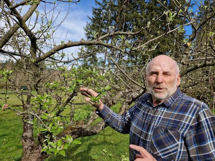 Josef Gallaun vom Obst- und Gartenbauverein Bezirk Voitsberg