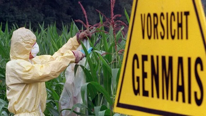 Der UN-Bericht erinnere daran, dass Eingriffe in die Natur das Risiko bergen, lang anhaltende Auswirkungen auf unseren Planeten zu haben, sagte die derzeitige Leiterin des Umweltprogramms, Joyce Musya. Mit der Crispr-Technologie etwa können Organismen viel leichter gentechnisch verändert werden als früher. Das hat viele Vorteile.