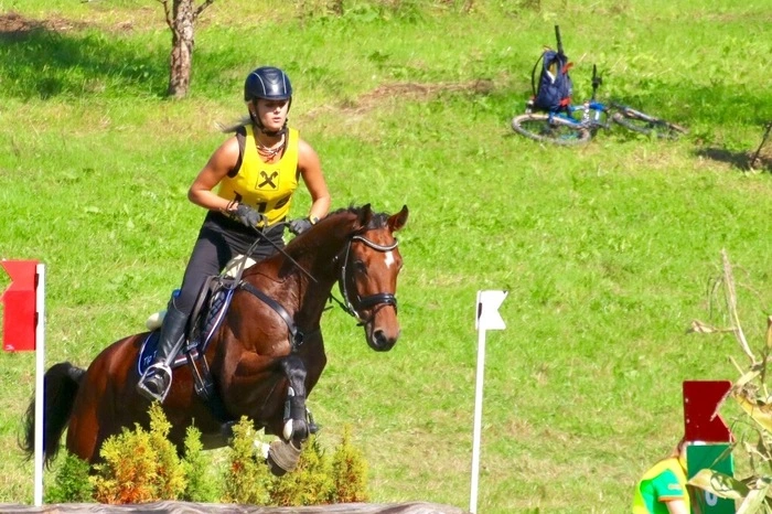 Drei Tage lang zeigten von Freitag bis Sonntag Ross und Reiter spektakulär was in ihnen steckt. Der Reithof Modibauer (Gratwein-Straßengel) veranstaltete am Wochenende bereits zum vierten Mal gemeinsam mit dem Reit- und Schulsportverein Grottenhof ein Vielseitigkeitsturnier in Thal.
