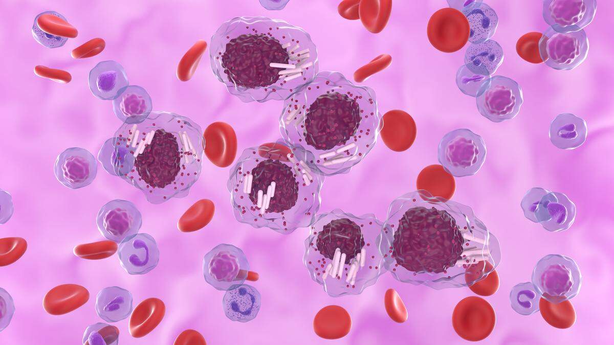 Ist man an Leukämie erkrankt, produziert der Körper keine gesunden, sondern entartete Blutzellen.