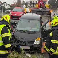 Die Freiwillige Feuerwehr Wildon stand mit acht Personen im Einsatz