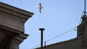 Schornstein der Sixtinischen Kapelle und Möwe | Der Schornstein und die Möwe – zwei Blickfänger am Mittwoch