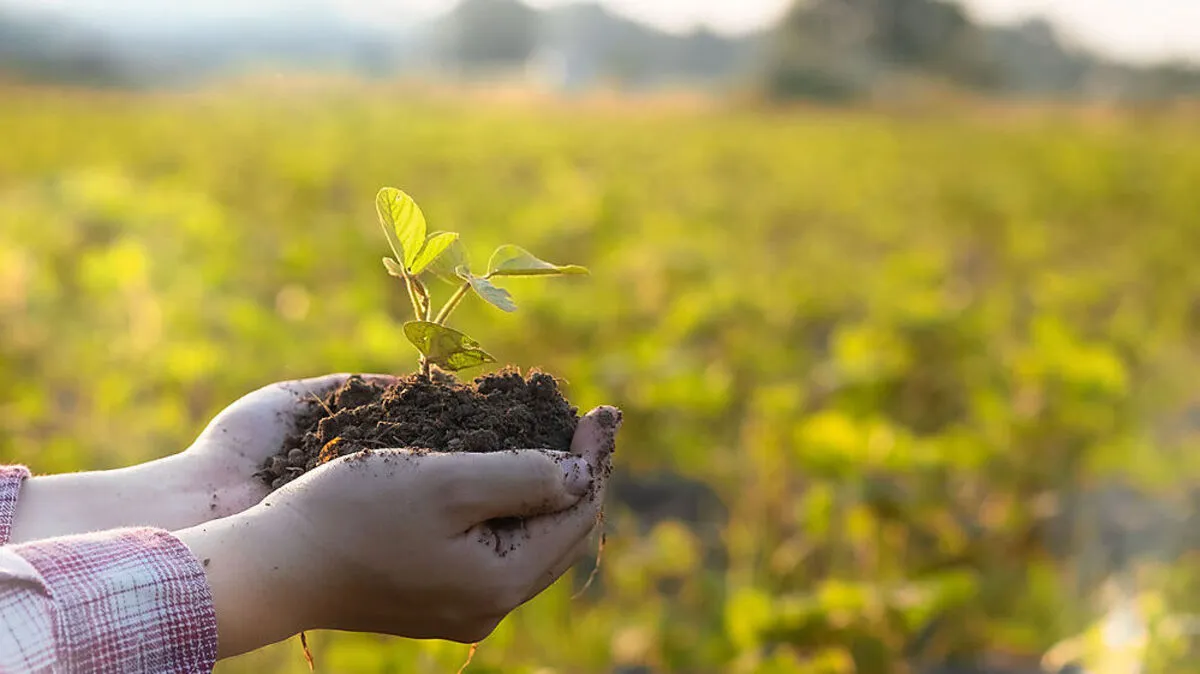 Auch scheinbar kleine Schritte, wie die richtige Gestaltung des eigenen Gartens, helfen beim Erhalt der heimischen Biodiversität. Sinnvoll sind etwa Unterschlüpfe für Igel, Fledermäuse und Co.