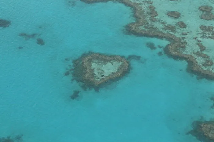 Eines der markanten Fotoobjekte Queenslands ist das Reef Heart in den Whitsunday Islands. Die Inselgruppe mit ihren 74 Eiländern hat viel zu bieten: Perfekte Bedingungen um zu tauchen, mit dem Whitehaven Beach den vielleicht schönsten Strand der Welt.