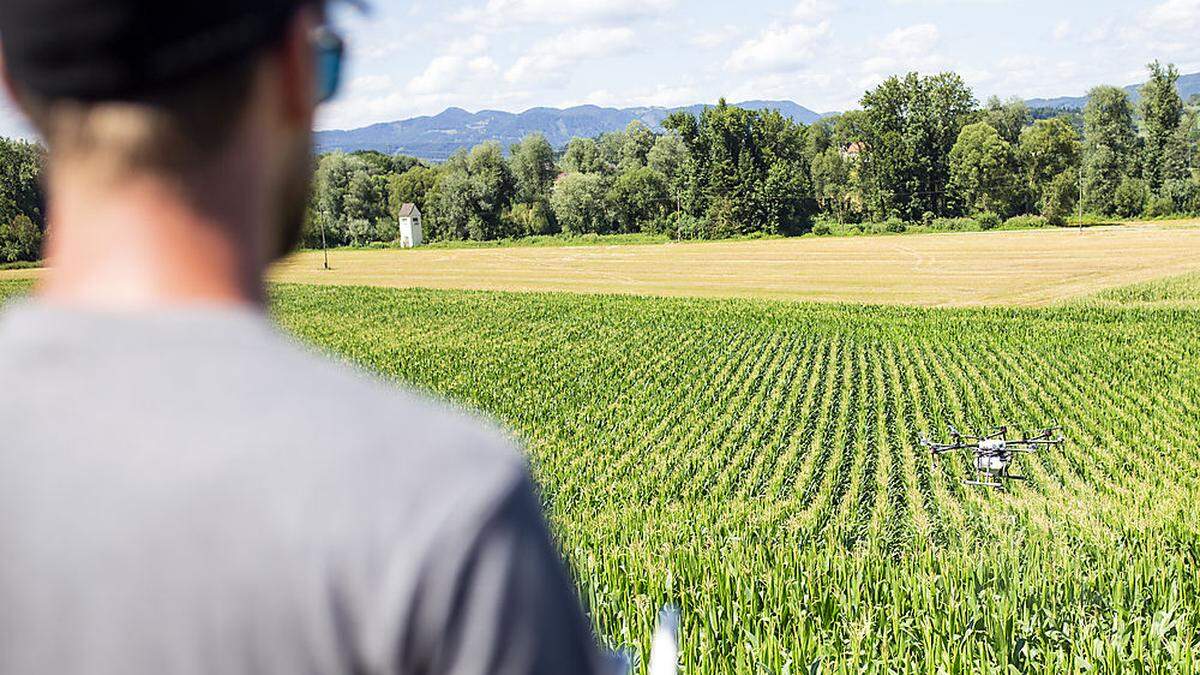 Drohnen werden im landwirtschaftlichen Bereich eine große Zukunft vorausgesagt