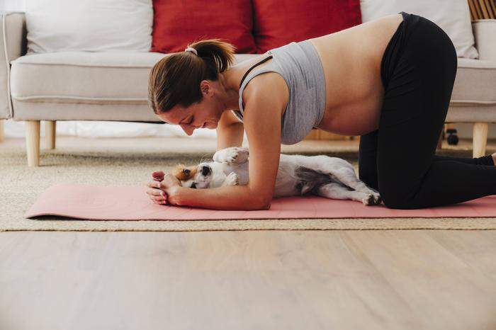 Für Hunde ist das Fitnessprogramm oft mit Stress verbunden 