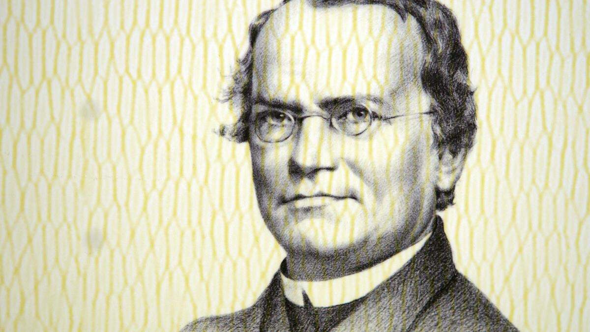 Die Gentechnik wäre ohne ihn nicht denkbar: Der Ordenspriester und Naturforscher Gregor Mendel entdeckte vor 200 Jahren die Vererbungsregel