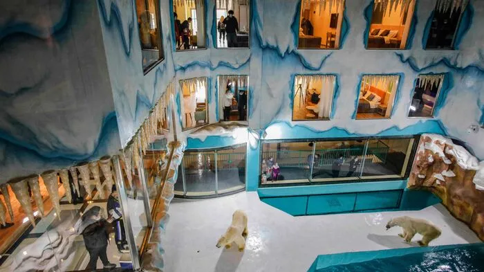 Verkauft wird es als "außergewöhnliche Erfahrung", um "Eisbären 24 Stunden als Nachbarn" zu haben: In der Praxis heißt das: Unter widrigsten Bedingungen eingesperrte Eisbären.