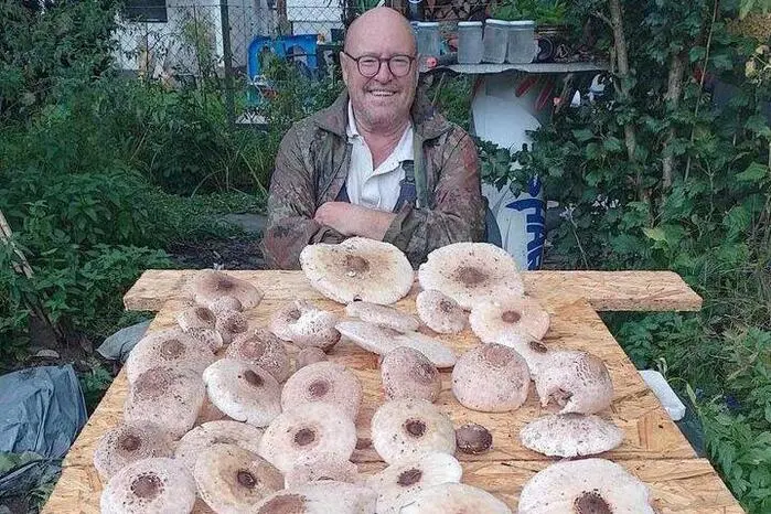 .... sowie viele schmackhafte Parasol-Pilze entdeckt.