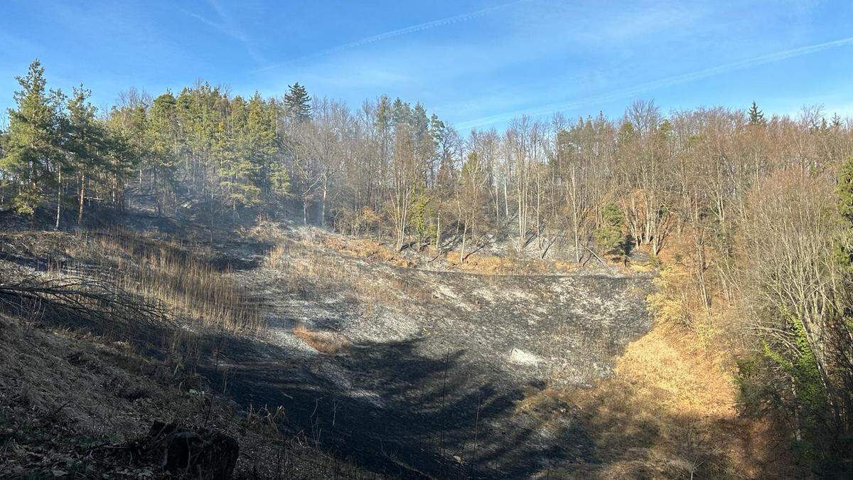 Rauch und große schwarze Stellen sind am Brandort zu sehen