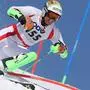 ALPINE SKIING - International ski customs championships