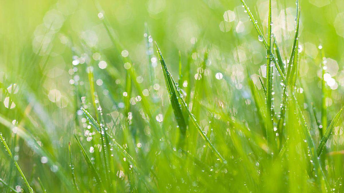 Langsam macht der Regen für die Sonne Platz.