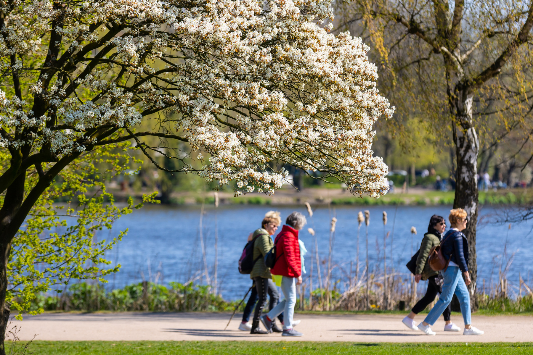 Morgenpost: Von Emmaus zu Facebook: Der Wert der Mund-zu-Mund-Propaganda