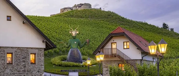 Ein Weingut bei Dämmerung. Im Vordergrund sind zwei Häuser zu sehen. Im Hintergrund thront die Burg Taggenbrunn über dem Gut.