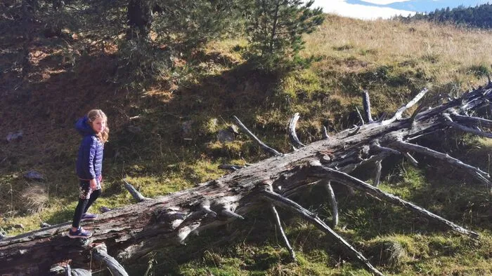 Oliver Judmaier: "Sarah Marie Judmaier aus Pöls war mit ihrem Papa im schönen Zirbitzkogel-Gebiet wandern."