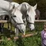 Kinder bis sechs Jahre haben am Samstag, dem 2. April, zum Start der Sommersaison freien Eintritt  