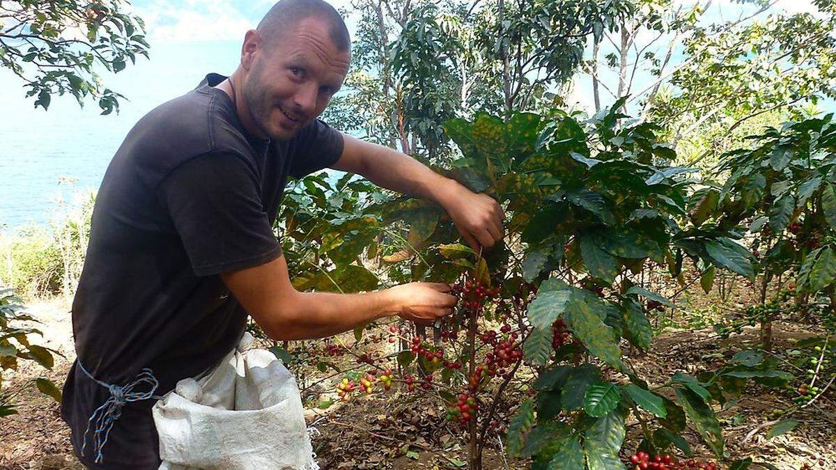 Steinwender bei der Kaffeeernte in Guatemala