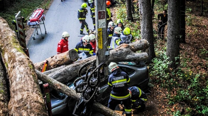 Übungsszenario: Herannahende Autos übersehen an einer unübersichtlichen Stelle einen Lkw, der mit Holz beladen wird, und lösen eine Massenkarambolage aus.