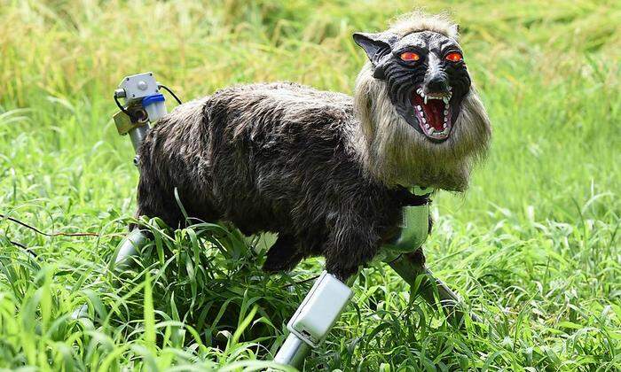 Ein bisschen eine Lachnummer:  „Super-Monster-Wolf“ in Japan