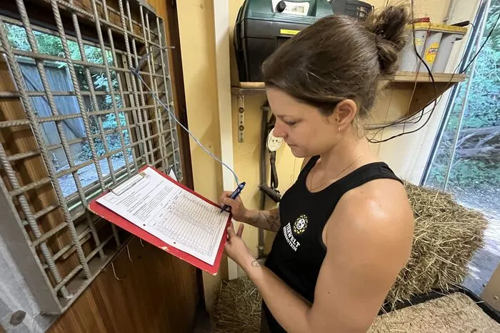 Nathalie Christin beim Ausfüllen des "ISO-Protokolls" - die Frühschicht muss hier vermerken, dass alle Tiere vollzählig und alle Zäune unbeschädigt sind.