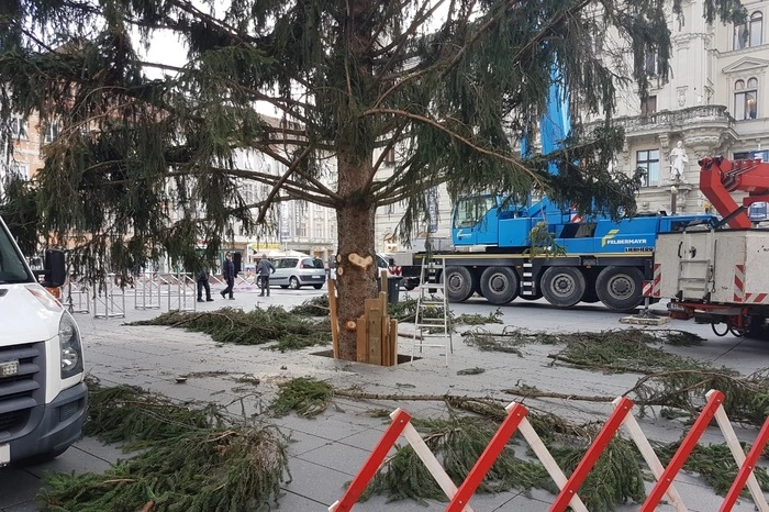 Den Donnerstag über wird die 6,5 Tonnen schwere Fichte noch "hübsch gemacht".