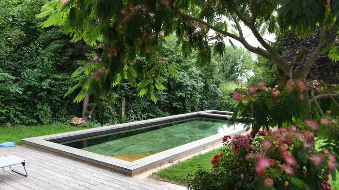 Ein Naturpool ist ein Pool, der ohne Chemie gepflegt wird.