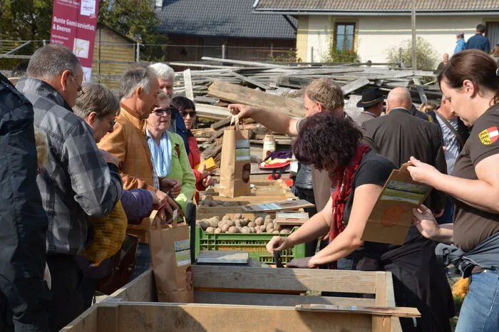 Aber auch die Kartoffeln vom Zerza Bauer waren beim Kartoffelhoffest heiß begehrt.
