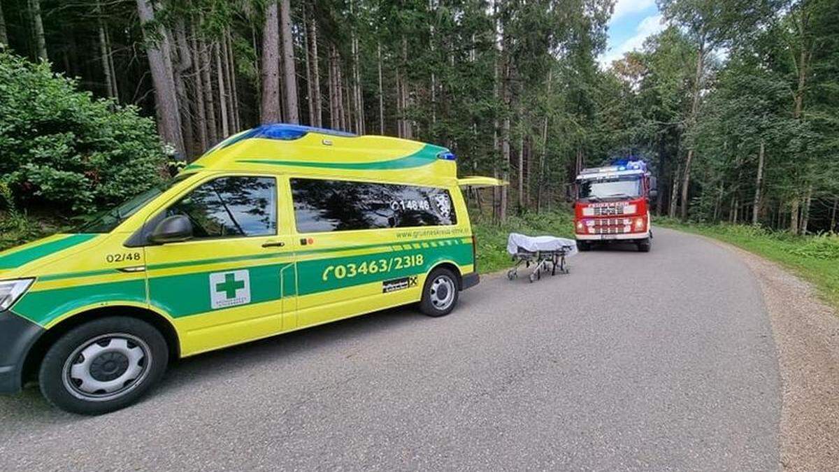 Grünes Kreuz und Feuerwehr bargen die Verletzte aus dem Waldstück