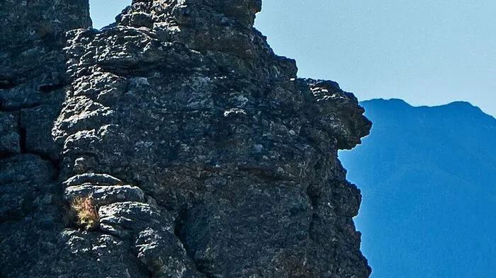 Eine Büste von Donald Trump entdeckte ein Leser beim Wandern auf der Saualpe.