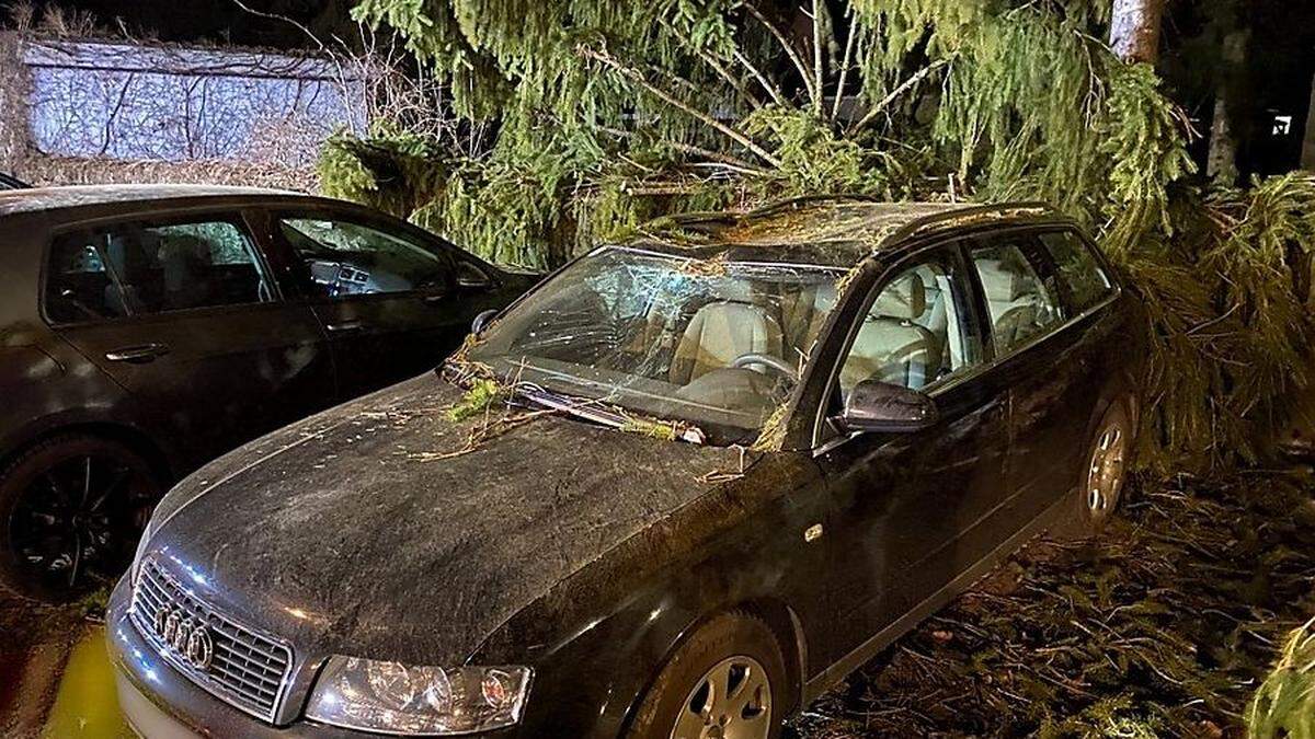 Dieses in Leibnitz geparkte Auto wurde von einem Baum getroffen